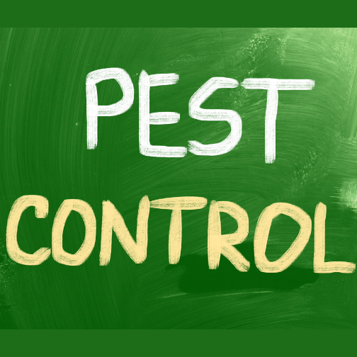 PEST CONTROL SERVICES IN THANE